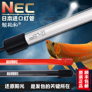NEC鱼缸灯金红龙鱼专用发色灯管增艳6700K烤色防水马印神灯靓相和