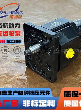 定制丹佛斯DANFOSS液压齿轮泵SNP3/26DC4F SNP2/8DSC011F双联油泵