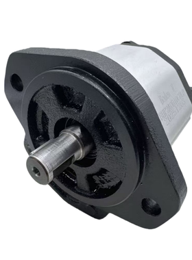 Boden博顿齿轮泵BHP2A0D10/D3/D6/D8/D10/D12/D14/D16/D18C0L0-R