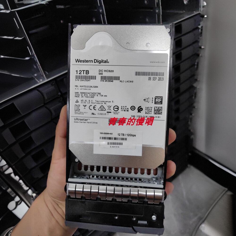 E-X4131A-AD-C NetApp 12TB 7200RPM SAS 12Gb/s 12T 存储硬盘
