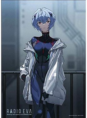 日本直邮500片拼图RADIOEVA Illustration绫波丽38x53cm