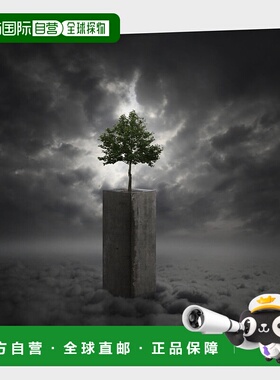 自营 curioos 不顾一切 - 灰色 美国奥莱直发