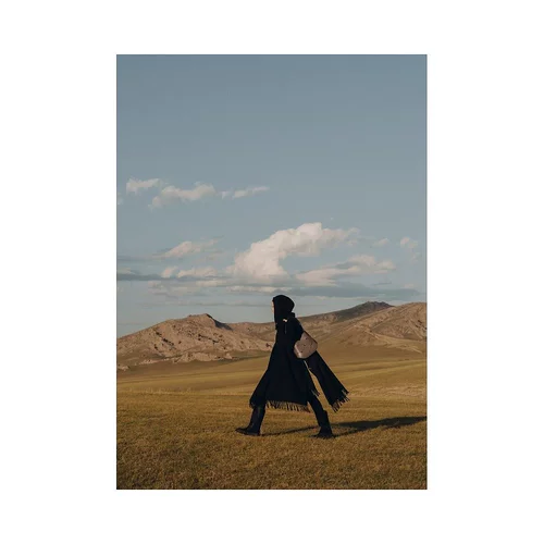 Женская сумка через плечо из телячьей кожи каштанового цвета, европейская прямая рассылка POLENE Nodde Hobo, сумка через плечо