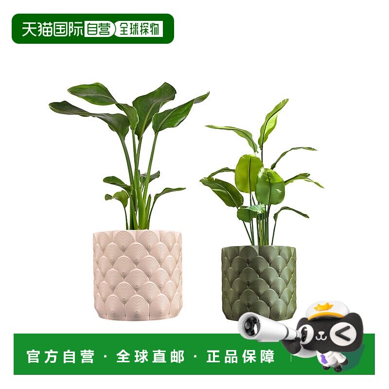 jonathan ySyrie 现代波西米亚室内海浪环保 3D 印花花盆带排水 -图片