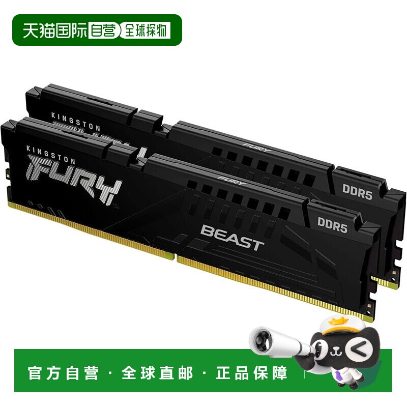 【日本直邮】金士顿 Fury Beast 黑色 32GB (2x