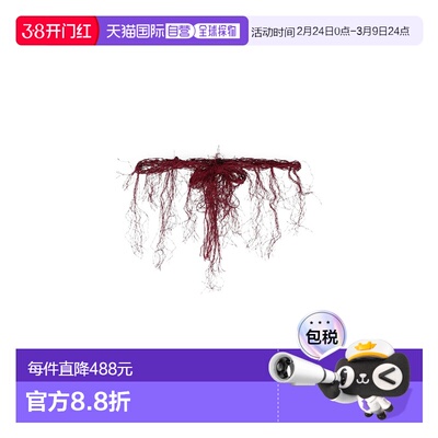 1h可退 香港直邮潮奢 Dsquared2 二次方 女士 高腰皮带 red红色