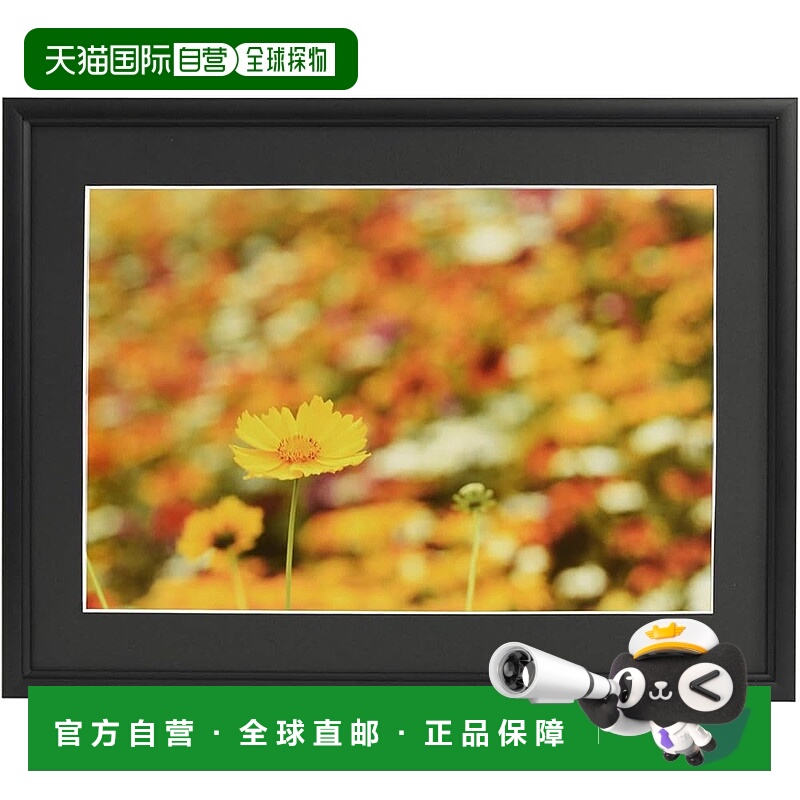 【日本直邮】FUJICOLOR 铝制相框 A33 宽 6 切 黑色 306730