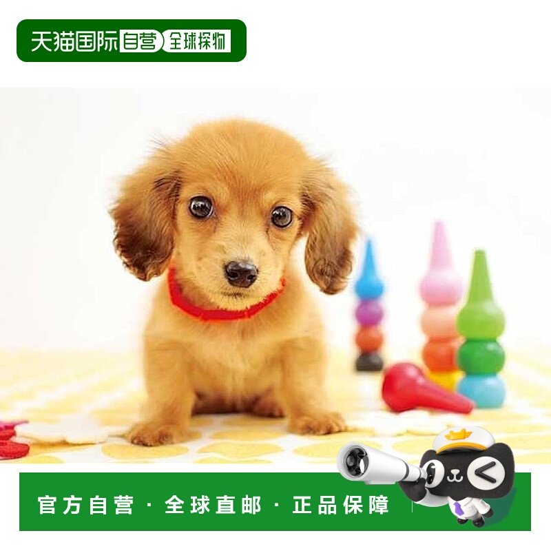 【日本直邮】300355 Osumashi OneShot Pet 300片 38 x 26厘米拼