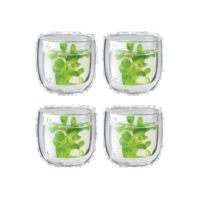 自营 ZWILLING Sorrento 2 件套双层玻璃茶杯套装 - 均码 美国奥