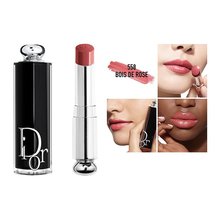 Dior迪奥魅力新黑管保湿光泽唇膏口红3.2g 盈亮系列 正装 #558