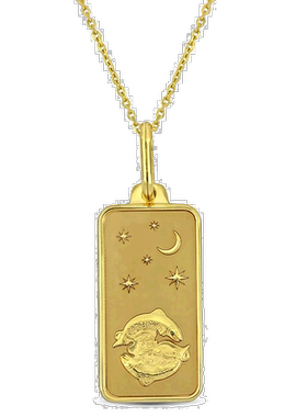 自营 10k 金 Mimi & Max 双鱼座星座项链 - 黄金 美国奥莱直发