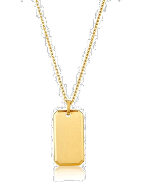 自营 adornia狗牌项链 24