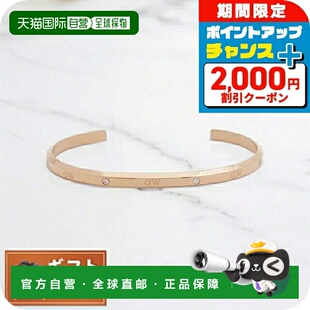 日本直邮Daniel Wellington Lumine RG经典手镯DW00400528