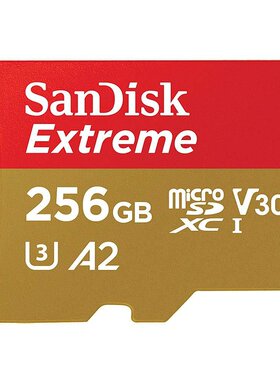 日本直邮microSDXC 256GB SanDiskExtreme系列UHS-1 U3 V30