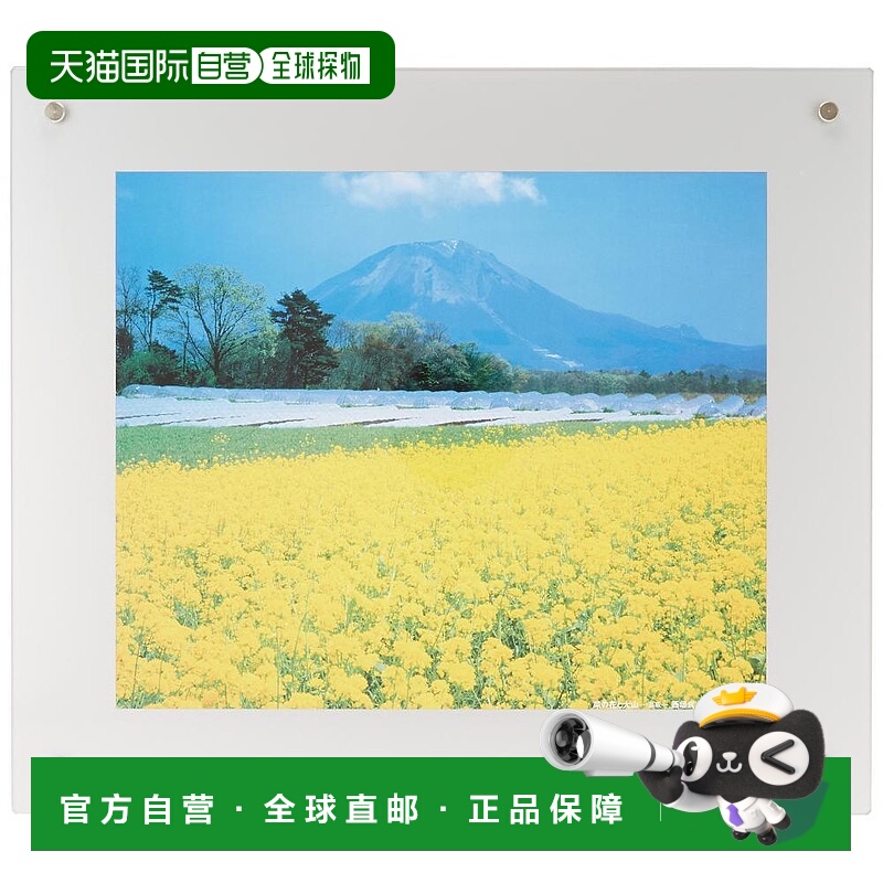 【日本直邮】Fujicolor富士胶片 相框 40103 银色