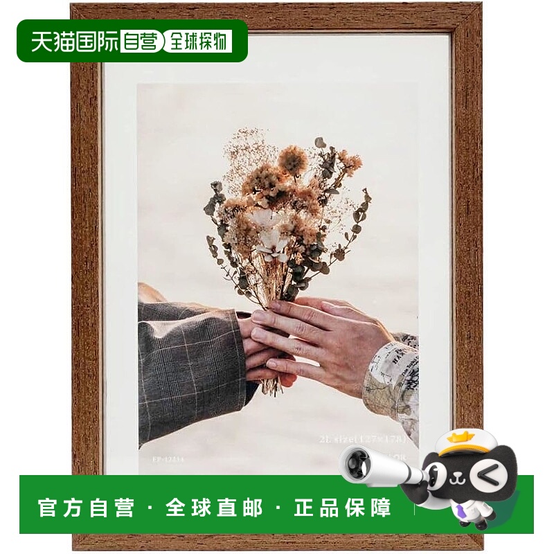 【日本直邮】Fujicolor 浮动相框 2L (BR) 2L 尺寸 棕色 x 透明