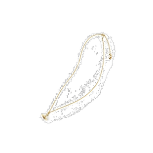 香港直邮VIVIENNE WESTWOOD 女士项链 6302009802R001CNR001