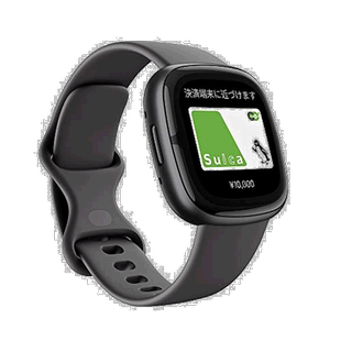 自营｜Fitbit Sense 2 智能钱包 阴影灰  FB521BKGB-FRCJK
