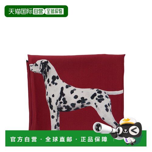 香港直邮RALPH LAUREN 女士围巾 454P23553004 AW20支付后1h可退