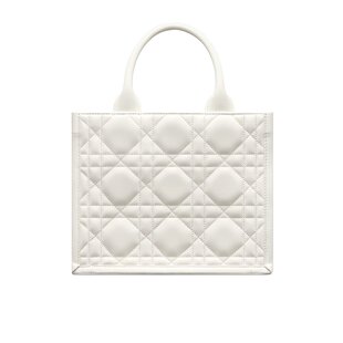 单肩包 Dior TOTE BOOK M1325OWHP 小号