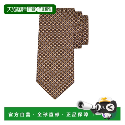 Salvatore Ferragamo Gancini 链接印花真丝领带 351446