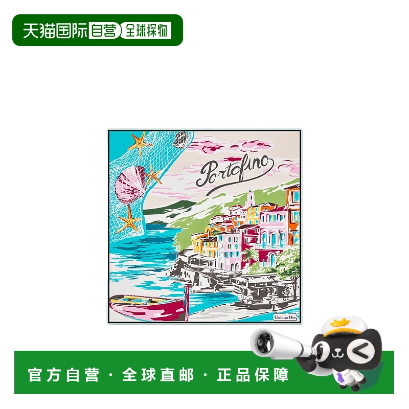 香港直邮Dior 印花方巾 54RIV070IPFO