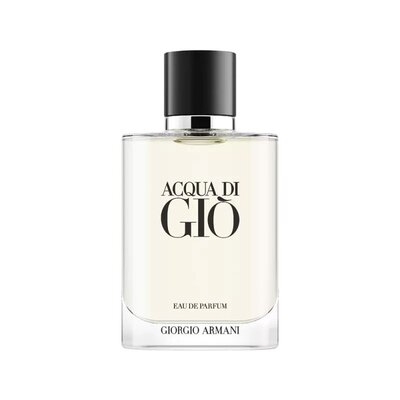 Giorgio Armani 阿玛尼 寄情男士浓香水100ml EDP 水生芳香调