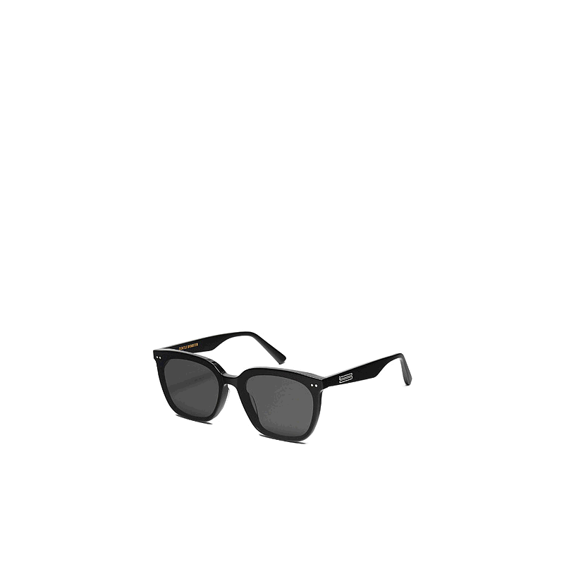 香港直邮Gentle Monster 方框太阳镜 HEIZER