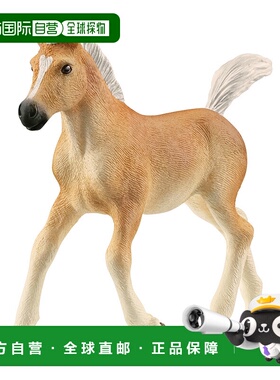 【日本直邮】思乐  Horse Club Haflinger 小马驹 13951