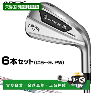 日本直邮卡拉威日本 APEX Ai200 铁杆 2024 年款钢杆身 6 支套装I