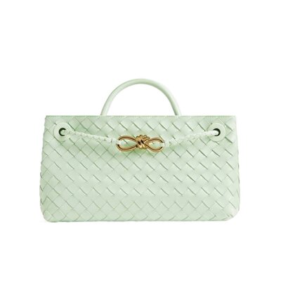 BOTTEGA VENETA 女士斜挎包 766010VCPP11877 SS2025