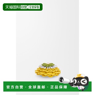 1h可退 欧洲直邮LOEWE 罗意威 26春夏 C964LPIX15-8068 女士 胸针