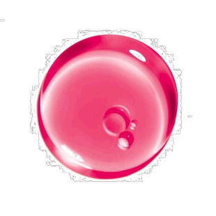 法国直邮娇韵诗 植萃盈润护唇油 04 PITAYA 甜蜜火龙果保湿唇膏