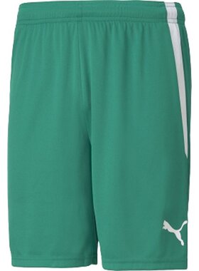 日本直邮PUMA TEAMLIGA 比赛裤足球训练服 705151-05