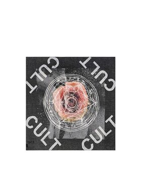 ALEXANDER MCQUEEN 女士围巾 337560REG021063 SS2021