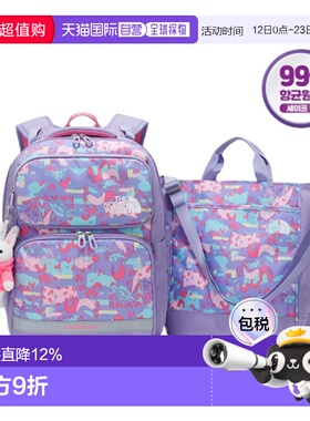 韩国直邮THE NORTH FACE北面 时尚大容量双肩包子母包组合NM2DM02