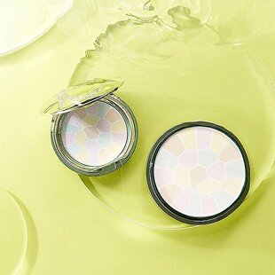 日本直邮elegance雅莉格丝E大饼家庭装蜜粉散粉饼持久持妆27g温和