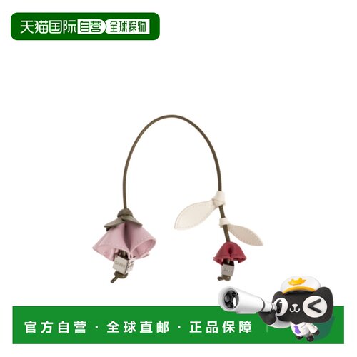香港直邮GANNI 女士饰品 B3010355838 AW2026 花色 支付后1h可退