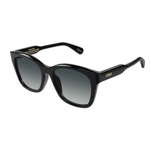 Chloe 蔻依 女士 -sunglasses 太阳镜 CH0194SK0