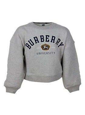 BURBERRY 男士卫衣 80685961004