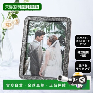 相框 Silver Tone 日本直邮施华洛世奇 Minera 全 种 SWAROVSKI