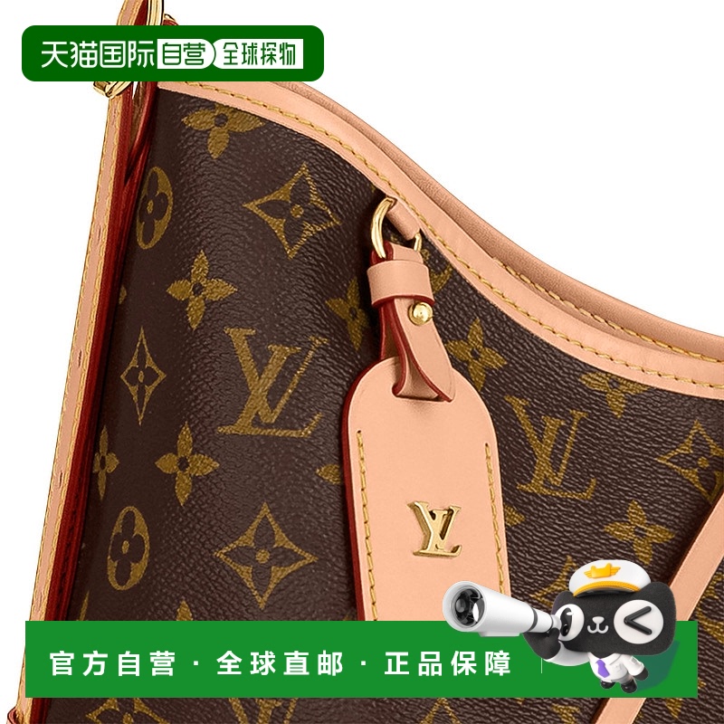 自营Louis Vuitton路易威登LV CarryAll MM女士手袋斜挎包女包