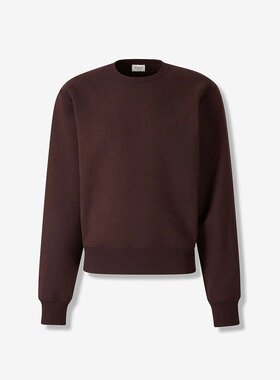 SAINT LAURENT 男士针织衫 820127Y365W5053PRUNE