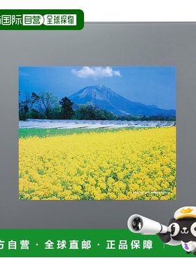 【日本直邮】Fujicolor富士胶片 相框 40116 L 特殊尺寸 银 00186