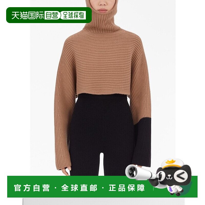 欧洲直邮salvatore ferragamo 女士 运动衫卫衣帽衫高领连帽衫