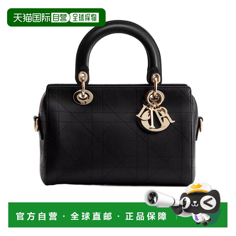Dior 小号 Dior Granville 手袋 M1441OHJS手提包