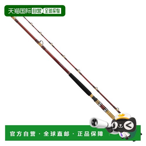 日本直邮Daiwa 船竿 Deep Zone 300-240K [5]
