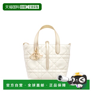 欧洲直邮DIOR Dior Toujours 小号垂直托特包斜挎包手提包单肩包