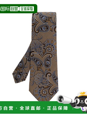 1h可退 香港直邮ETRO 男士领带 MASA0001AQ396S9820 SS2026 花色