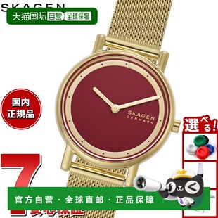 日本直邮Skagen 女士 Signatur Lille 双指针金色不锈钢网眼手表